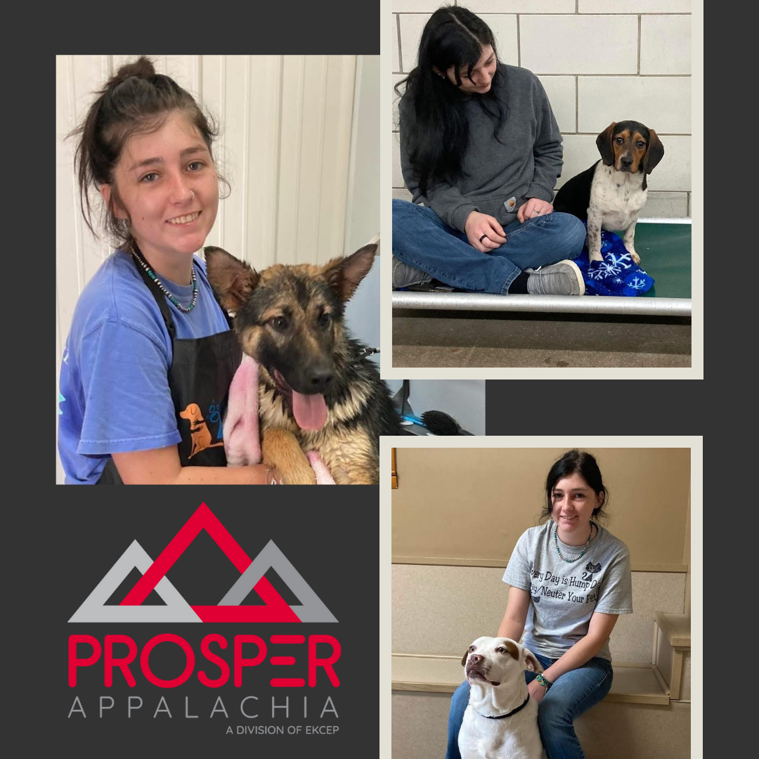 Prosper Appalachia Initiative Gives Morgan County Student a Head Start on Career
